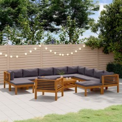 vidaXL Muebles de jardín 12 pzas cojines madera maciza de acacia 