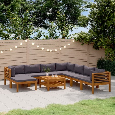 vidaXL Muebles de jardín 9 pzas cojines madera maciza de acacia 
