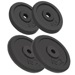 vidaXL Discos de pesas de hierro fundido 4 uds 2x10 kg+2x5 kg