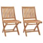 vidaXL Sillas de jardín plegables 2 unidades madera maciza de teca vidaXL Sillas de jardín plegables 2 unidades madera maciza de teca