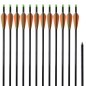 vidaXL Flechas de arco 12 uds compuesto estándar de fibra de vidrio vidaXL Flechas de arco 12 uds compuesto estándar de fibra de vidrio
