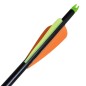 vidaXL Flechas de arco 12 uds compuesto estándar de fibra de vidrio vidaXL Flechas de arco 12 uds compuesto estándar de fibra de vidrio