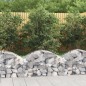 vidaXL Cesta de gaviones forma arco hierro galvanizado 100x50x40/60 cm vidaXL Cesta de gaviones forma arco hierro galvanizado 100x50x40/60 cm