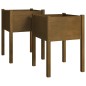 vidaXL Jardineras 2 uds madera maciza de pino marrón miel 50x50x70 cm vidaXL Jardineras 2 uds madera maciza de pino marrón miel 50x50x70 cm