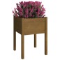 vidaXL Jardineras 2 uds madera maciza de pino marrón miel 50x50x70 cm vidaXL Jardineras 2 uds madera maciza de pino marrón miel 50x50x70 cm