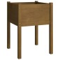 vidaXL Jardineras 2 uds madera maciza de pino marrón miel 50x50x70 cm vidaXL Jardineras 2 uds madera maciza de pino marrón miel 50x50x70 cm