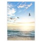 vidaXL Marcos de foto collage de mesa 3 uds blanco MDF 15x21 cm