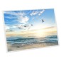 vidaXL Marcos de foto collage de mesa 3 uds blanco MDF 15x21 cm