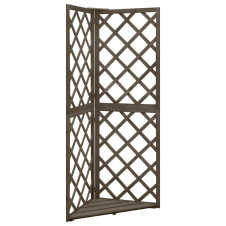vidaXL Enrejado de esquina madera maciza de abeto gris 50x50x145 cm