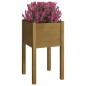 vidaXL Jardineras 2 uds madera maciza de pino marrón miel 40x40x70 cm vidaXL Jardineras 2 uds madera maciza de pino marrón miel 40x40x70 cm