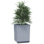 vidaXL Jardineras 2 unidades polipropileno gris claro 30x30x37 cm vidaXL Jardineras 2 unidades polipropileno gris claro 30x30x37 cm