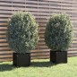 vidaXL Jardineras 2 uds madera maciza de pino negro 40x40x40 cm vidaXL Jardineras 2 uds madera maciza de pino negro 40x40x40 cm