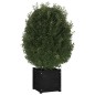 vidaXL Jardineras 2 uds madera maciza de pino negro 40x40x40 cm vidaXL Jardineras 2 uds madera maciza de pino negro 40x40x40 cm