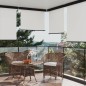 vidaXL Toldo lateral de balcón color crema 145x250 cm