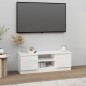vidaXL Mueble de TV con puerta blanco 102x30x36 cm