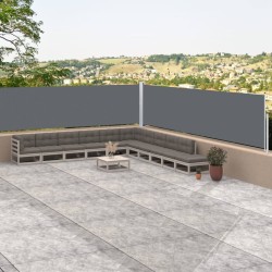 vidaXL Toldo lateral retráctil antracita 117x1000 cm