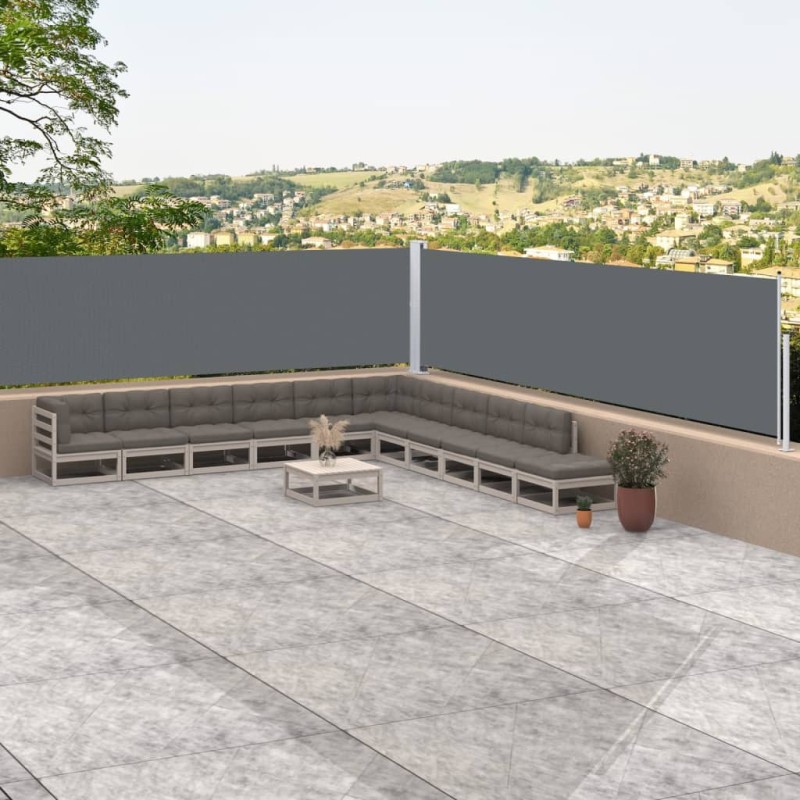 vidaXL Toldo lateral retráctil antracita 117x1000 cm vidaXL Toldo lateral retráctil antracita 117x1000 cm