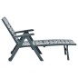 vidaXL Tumbona plegable de plástico verde vidaXL Tumbona plegable de plástico verde