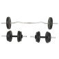vidaXL Juego de pesas 30 kg barra y mancuernas