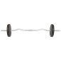 vidaXL Juego de pesas 30 kg barra y mancuernas