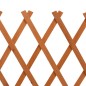 vidaXL Valla de jardín enrejada madera maciza abeto naranja 120x60 cm vidaXL Valla de jardín enrejada madera maciza abeto naranja 120x60 cm
