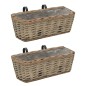 vidaXL Jardinera de balcón con forro PE 40 cm 2 unidades vidaXL Jardinera de balcón con forro PE 40 cm 2 unidades