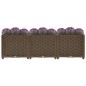 vidaXL Arriate 120x40x38 cm polipropileno vidaXL Arriate 120x40x38 cm polipropileno