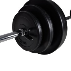 vidaXL Set de pesas + 2 mancuernas 30,5 kg