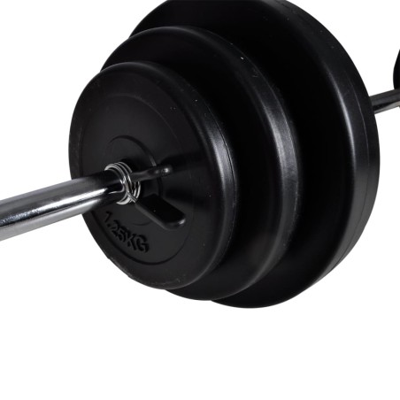 vidaXL Set de pesas + 2 mancuernas 30,5 kg