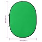 vidaXL Kit de estudio fotográfico con luces, fondo y reflector vidaXL Kit de estudio fotográfico con luces, fondo y reflector