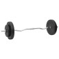 vidaXL Juego de barras y mancuernas con discos 60 kg vidaXL Juego de barras y mancuernas con discos 60 kg