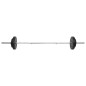 vidaXL Juego de barras y mancuernas con discos 60 kg vidaXL Juego de barras y mancuernas con discos 60 kg