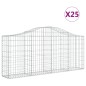 vidaXL Cestas de gaviones 25 uds forma de arco hierro 200x30x80/100 cm vidaXL Cestas de gaviones 25 uds forma de arco hierro 200x30x80/100 cm