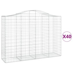 vidaXL Cestas gaviones 40 uds forma de arco hierro 200x50x140/160 cm