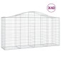 vidaXL Cestas de gaviones 40 uds forma de arco hierro 200x50x100/120cm vidaXL Cestas de gaviones 40 uds forma de arco hierro 200x50x100/120cm