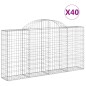 vidaXL Cestas gaviones 40 uds forma de arco hierro 200x30x100/120 cm vidaXL Cestas gaviones 40 uds forma de arco hierro 200x30x100/120 cm