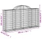 vidaXL Cestas gaviones 40 uds forma de arco hierro 200x30x100/120 cm vidaXL Cestas gaviones 40 uds forma de arco hierro 200x30x100/120 cm