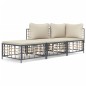 vidaXL Juego de muebles de jardín 3 pzas cojines antracita ratán PE vidaXL Juego de muebles de jardín 3 pzas cojines antracita ratán PE