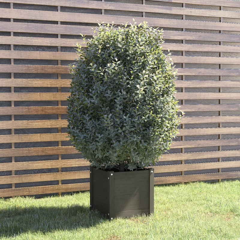 vidaXL Jardinera de madera maciza de pino gris 40x40x40 cm vidaXL Jardinera de madera maciza de pino gris 40x40x40 cm