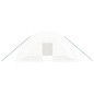 vidaXL Invernadero con estructura de acero blanco 36 m² 6x6x2,85 m vidaXL Invernadero con estructura de acero blanco 36 m² 6x6x2,85 m