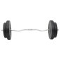 vidaXL Juego de barras y mancuernas con discos 120 kg vidaXL Juego de barras y mancuernas con discos 120 kg