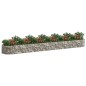vidaXL Arriate de gaviones de hierro galvanizado 600x100x50 cm vidaXL Arriate de gaviones de hierro galvanizado 600x100x50 cm
