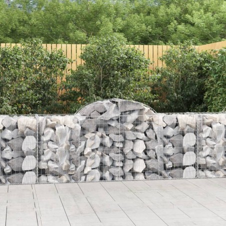 vidaXL Cestas de gaviones 40 uds forma de arco hierro 200x50x80/100 cm