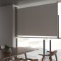 vidaXL Toldo lateral retráctil para patio 160x300 cm gris vidaXL Toldo lateral retráctil para patio 160x300 cm gris