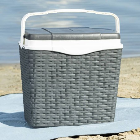 HI Nevera con asa plástico gris antracita 24 L