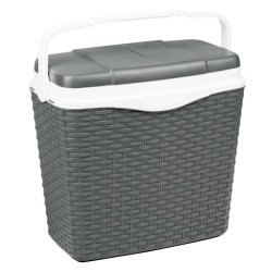HI Nevera con asa plástico gris antracita 24 L