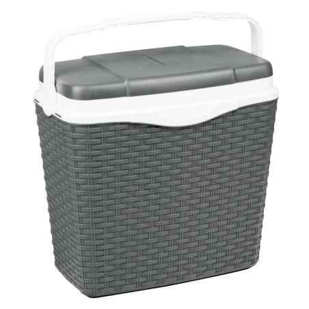 HI Nevera con asa plástico gris antracita 24 L