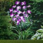 HI Lámpara solar LED de jardín forma de orquídeas 75 cm HI Lámpara solar LED de jardín forma de orquídeas 75 cm