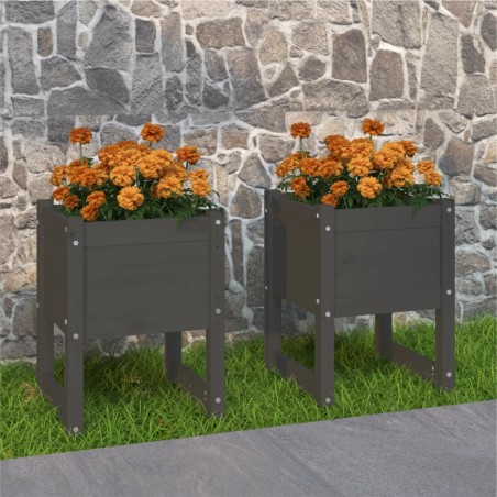 vidaXL Jardinera 2 unidades madera maciza de pino gris 40x40x52,5 cm