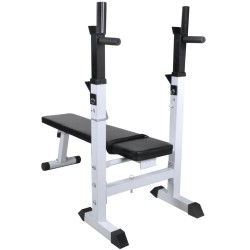 vidaXL Banco de entrenamiento de fitness y musculación recto 